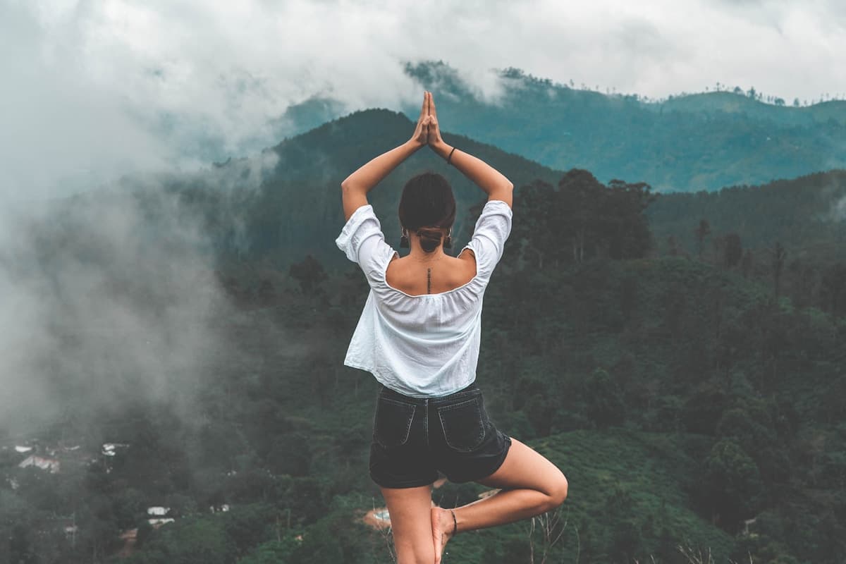 Mindfulness & Meditation: utique addo error